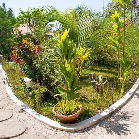 Mama Africa Art Residence & Art Center Gambia Tanji المظهر الخارجي الصورة