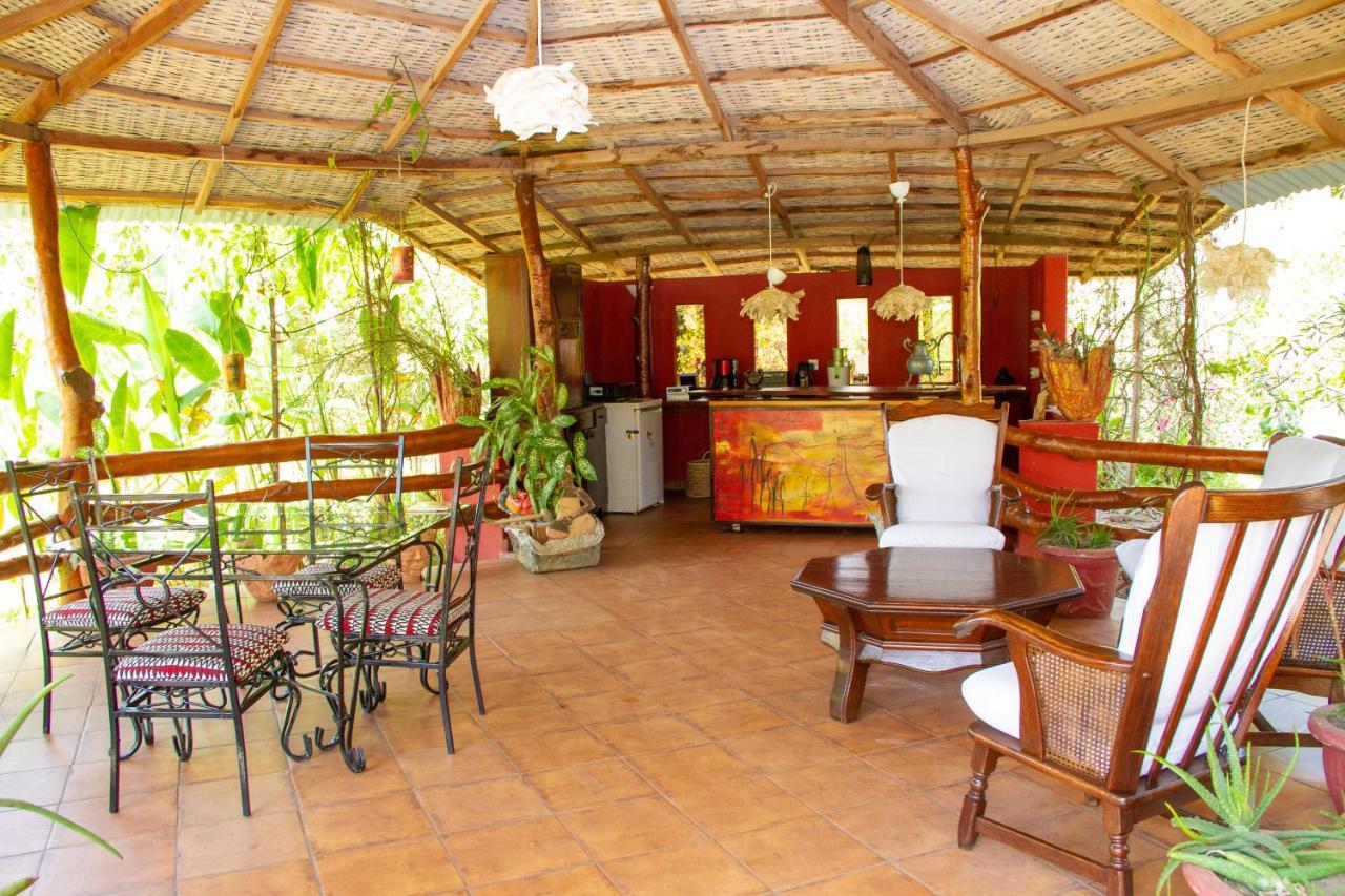 Mama Africa Art Residence & Art Center Gambia Tanji المظهر الخارجي الصورة