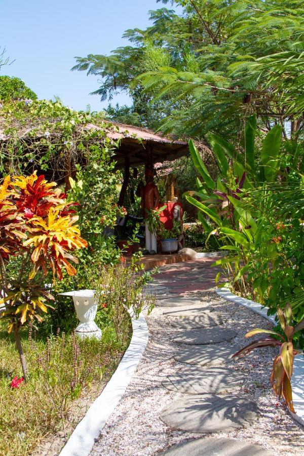 Mama Africa Art Residence & Art Center Gambia Tanji المظهر الخارجي الصورة