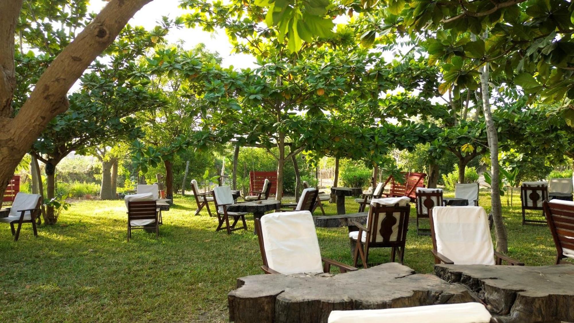 Mama Africa Art Residence & Art Center Gambia Tanji المظهر الخارجي الصورة