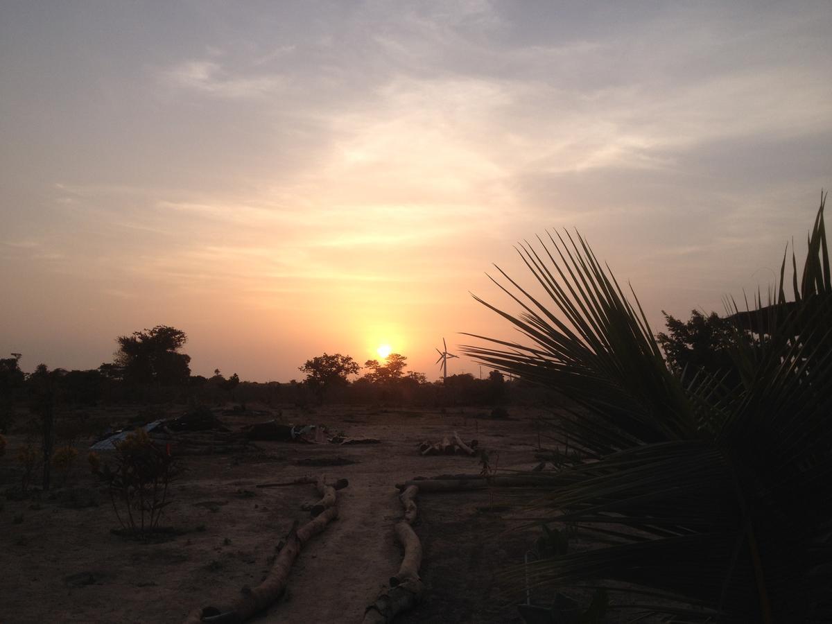 Mama Africa Art Residence & Art Center Gambia Tanji المظهر الخارجي الصورة