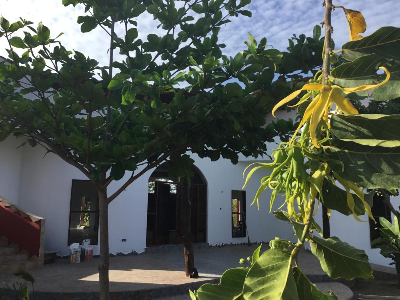 Mama Africa Art Residence & Art Center Gambia Tanji المظهر الخارجي الصورة